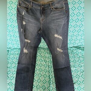 Torrid Blue Jeans